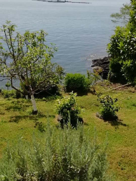 Photo of Others in Persembe