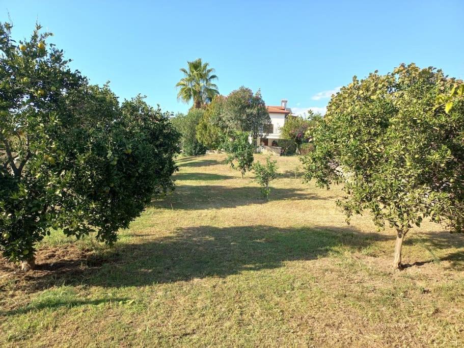 Photo of Buildings in Manavgat