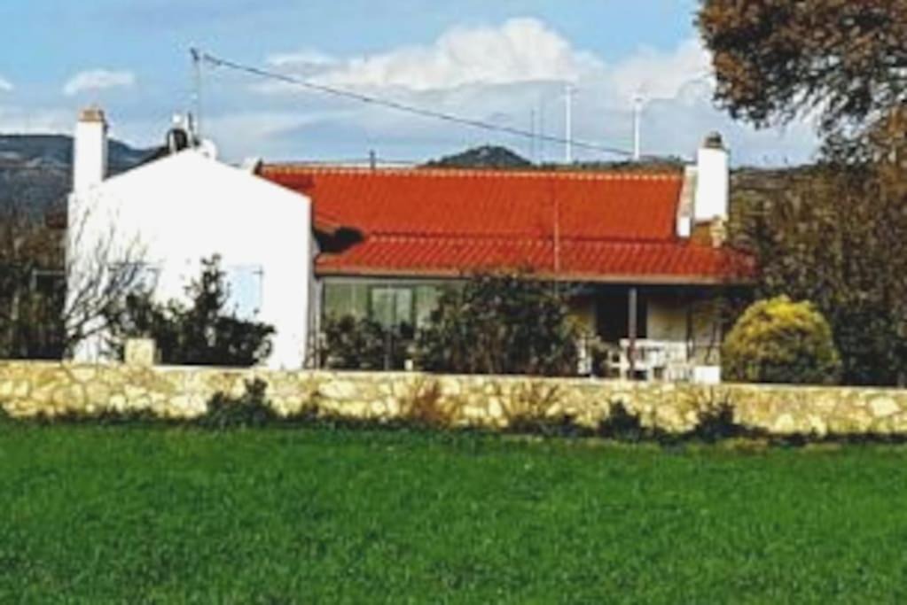 Photo of Others in Datca