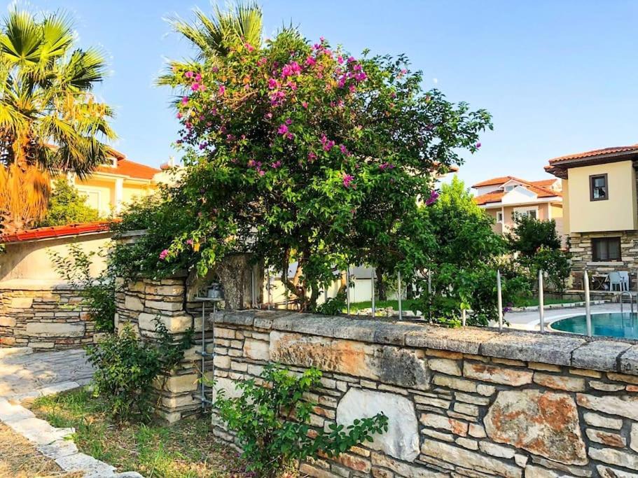 Photo of Others in Dalyan