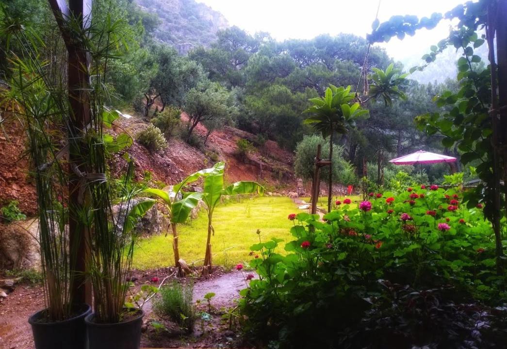 Photo of Others in Ovacik