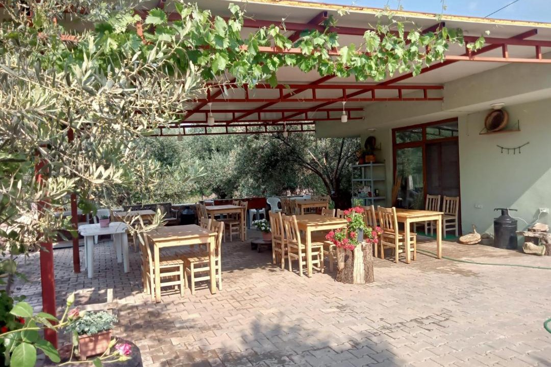 Photo of Others in Ayvacik