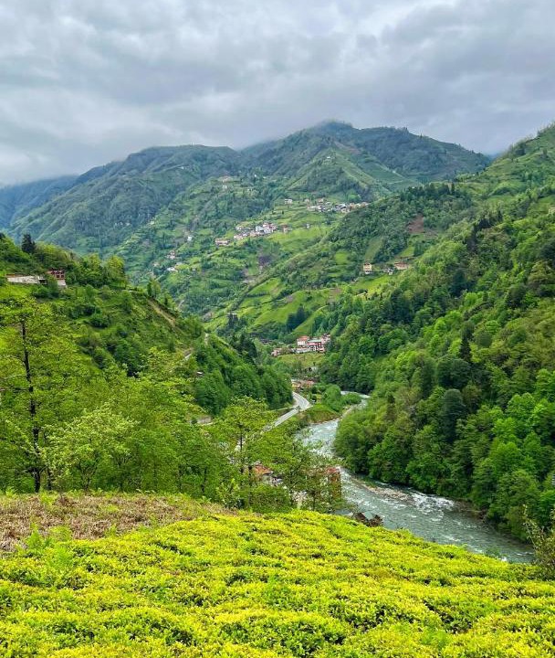 Photo of Outdoor in Ayder