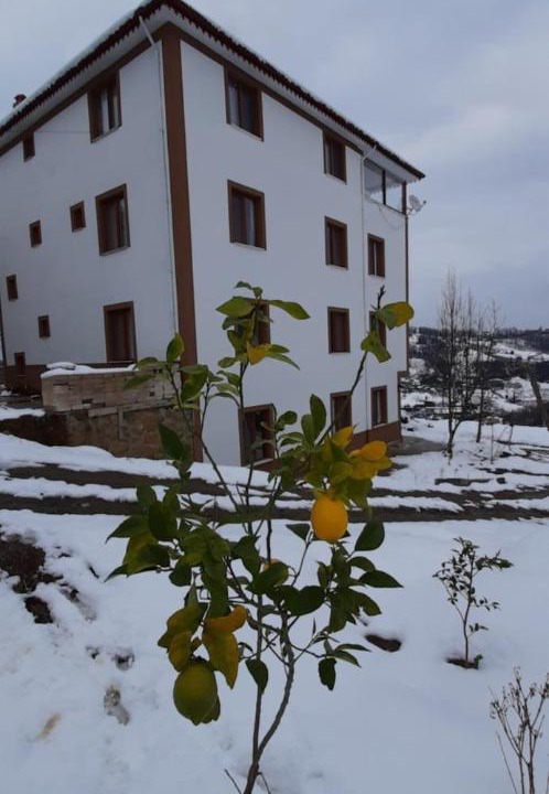 Photo of Others in Ovacik