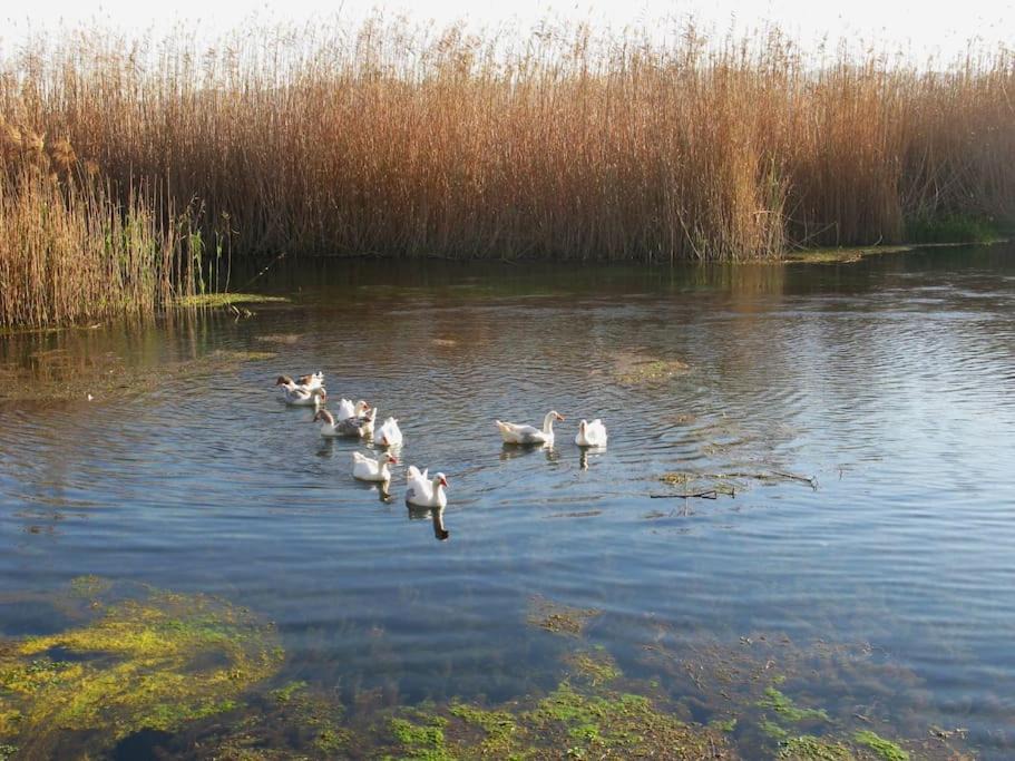 Photo of Others in Akyaka