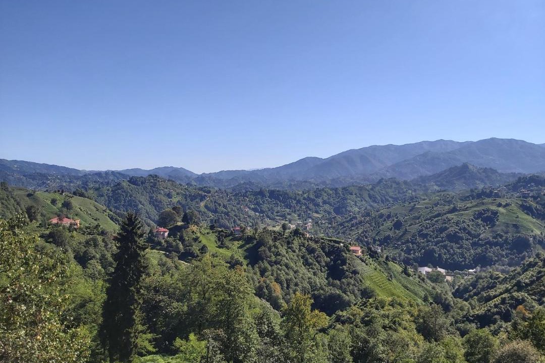 Photo of Others in Cayeli