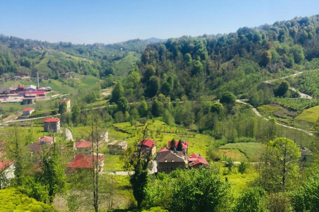 Photo of Others in Ovacik