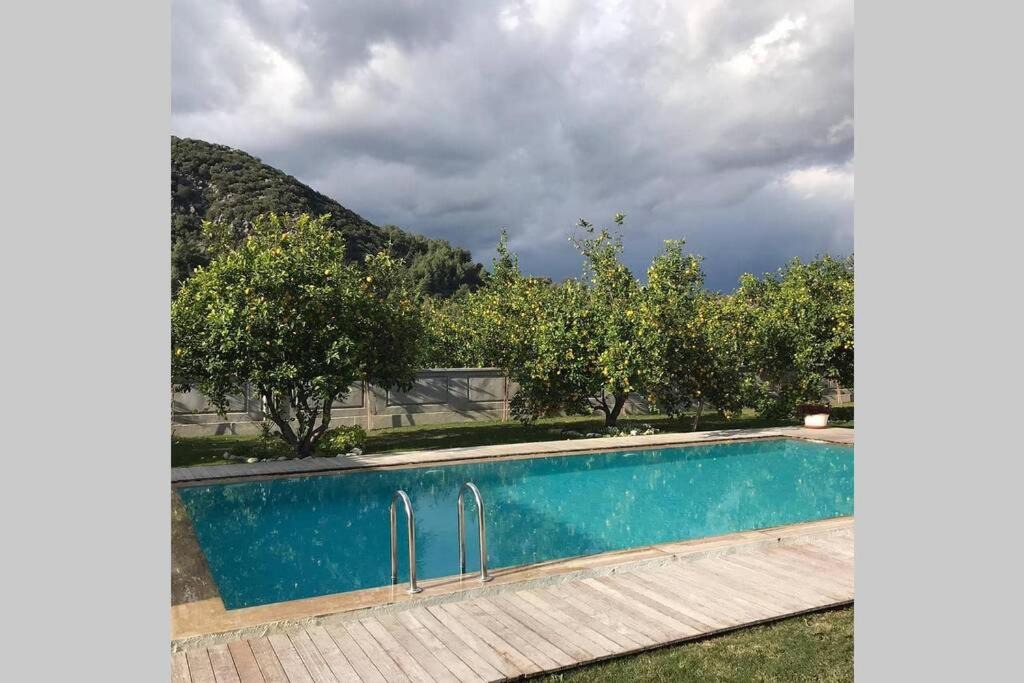 Photo of Others in Dalyan