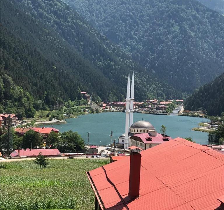 Photo of Others in Uzungol
