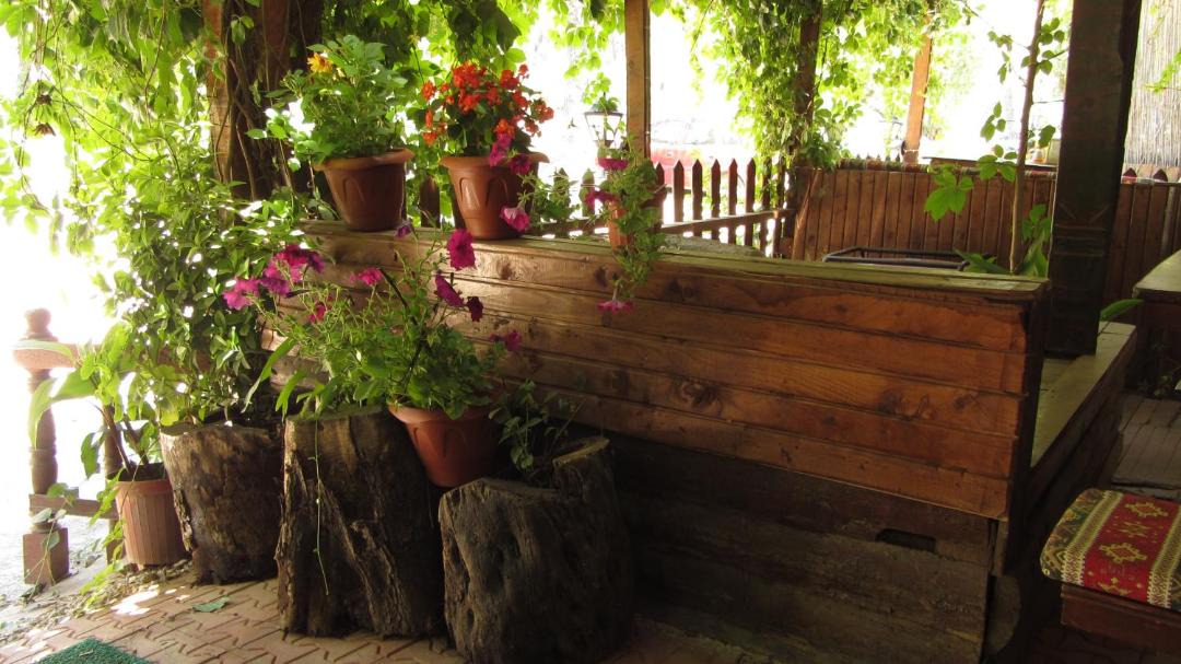 Photo of Others in Olympos