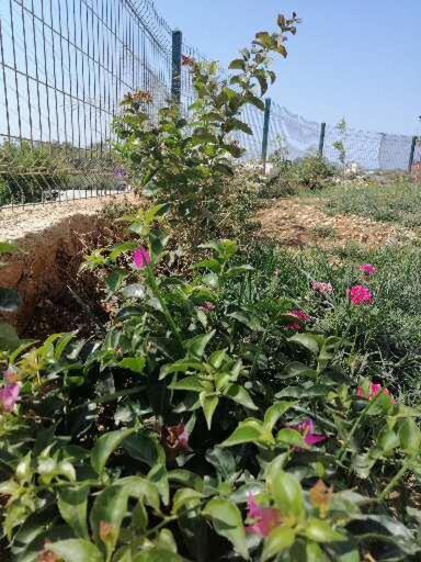 Photo of Others in Demre