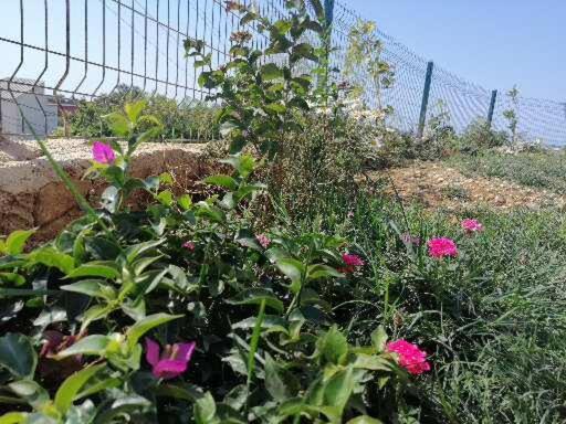 Photo of Others in Demre