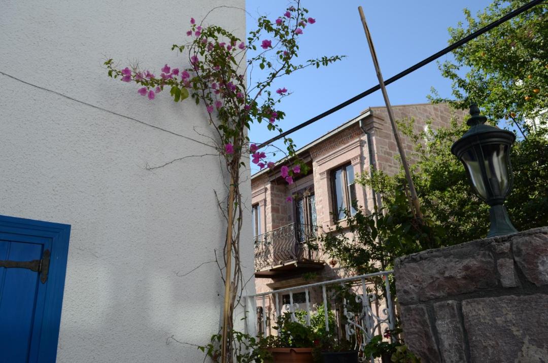 Photo of Others in Ayvalik