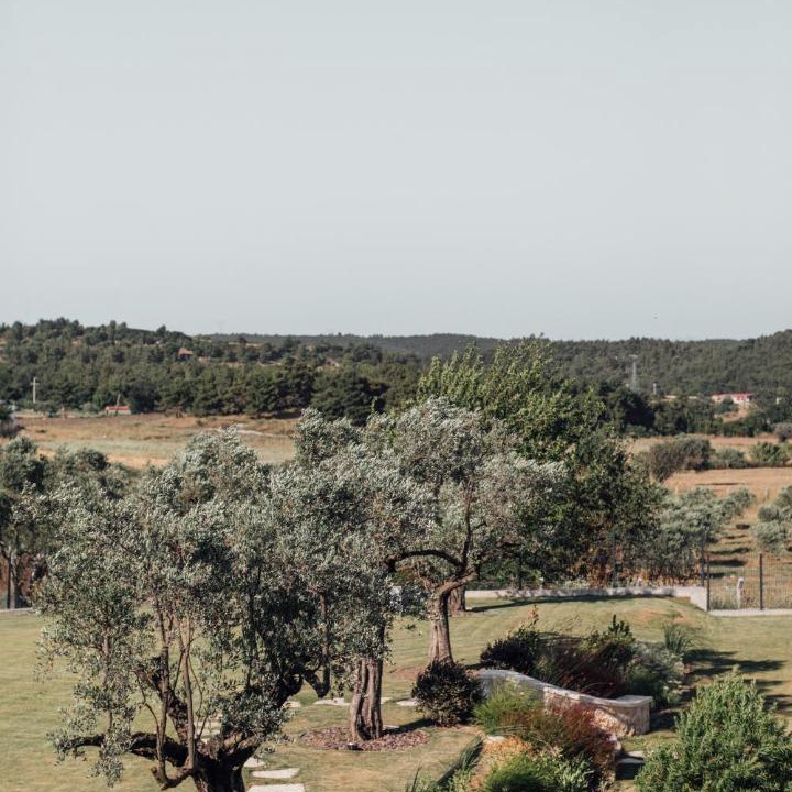 Photo of Others in Urla
