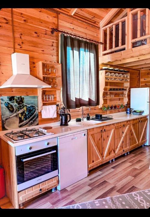 Photo of Kitchen in Datca