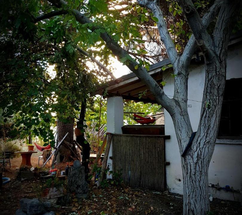 Photo of Others in Guzelcamli