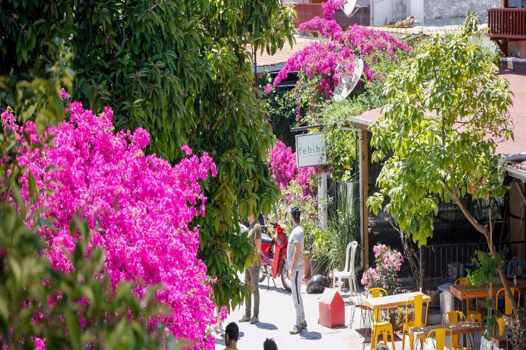 Photo of Others in Akyaka City Center