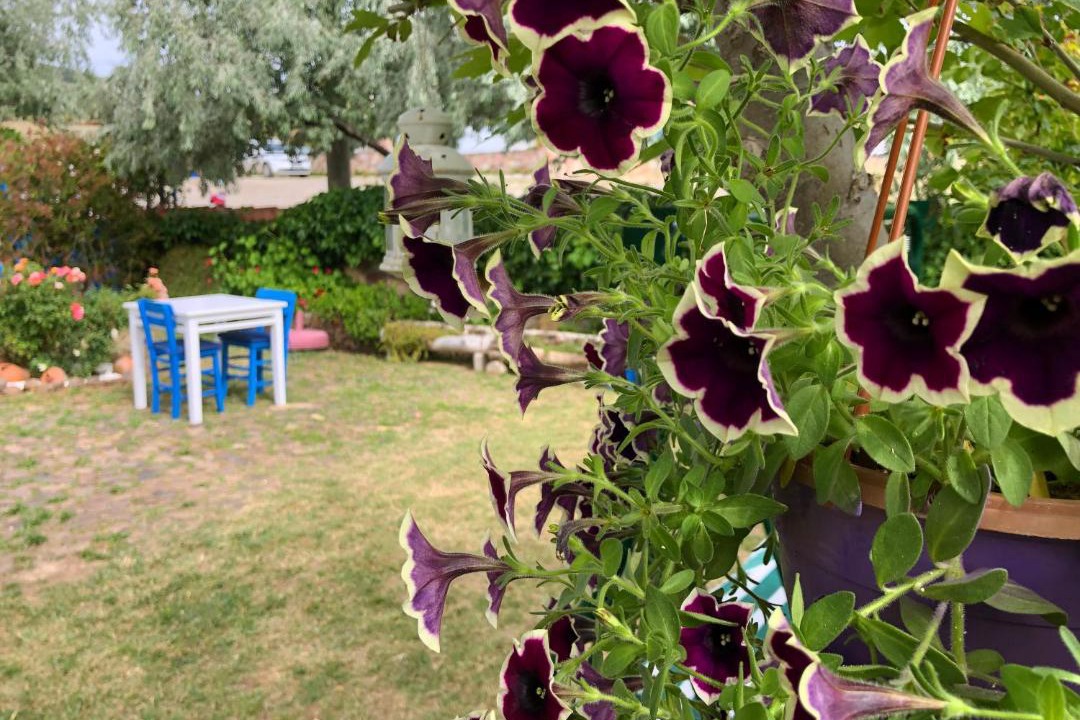 Photo of Others in Ayvalik
