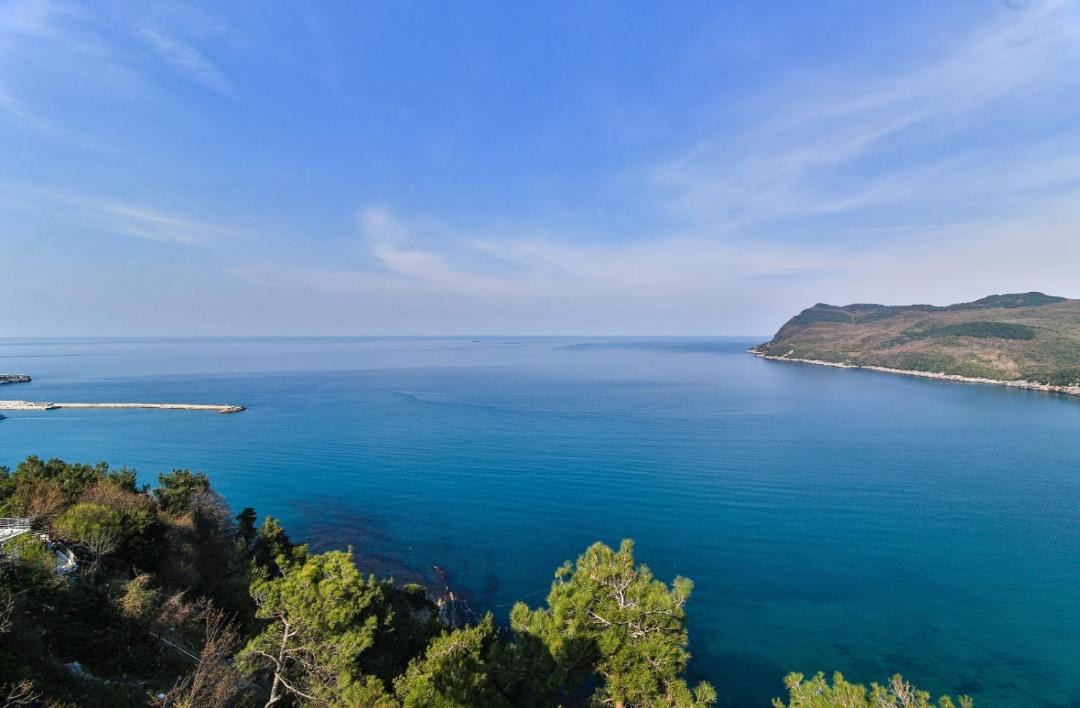Photo of Others in Amasra
