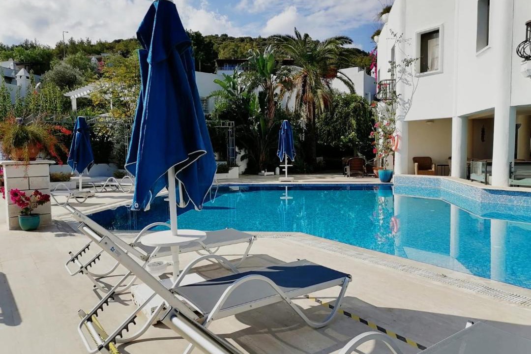 Photo of Others in Torba