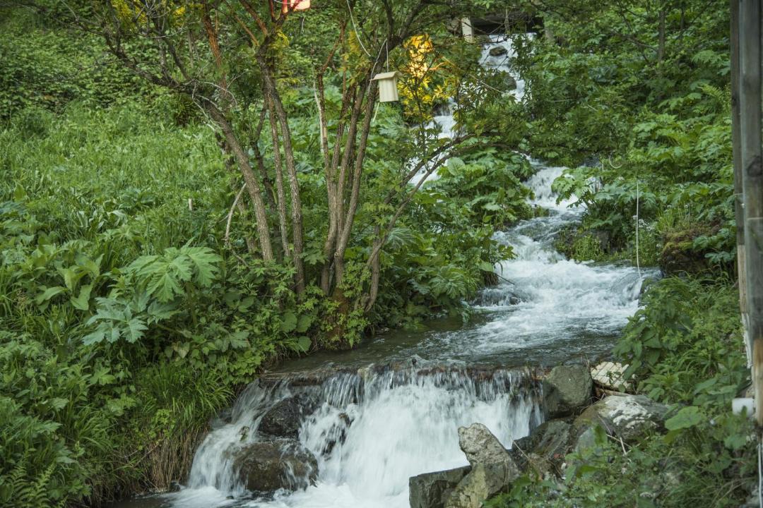 Photo of Others in Uzungol