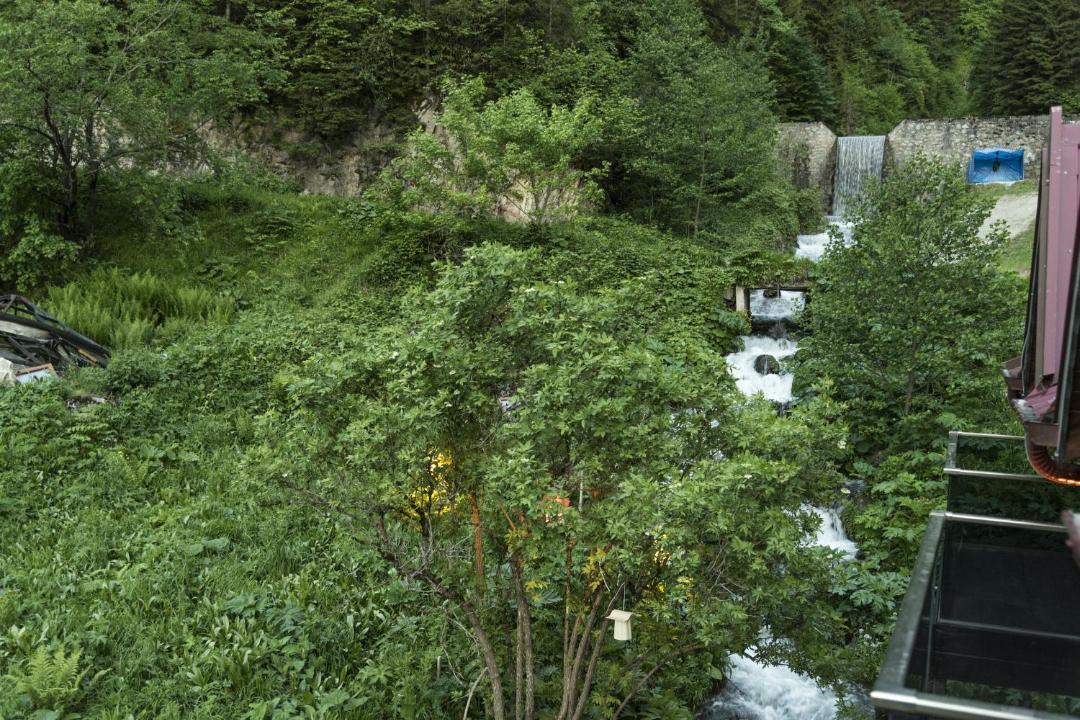 Photo of Others in Uzungol