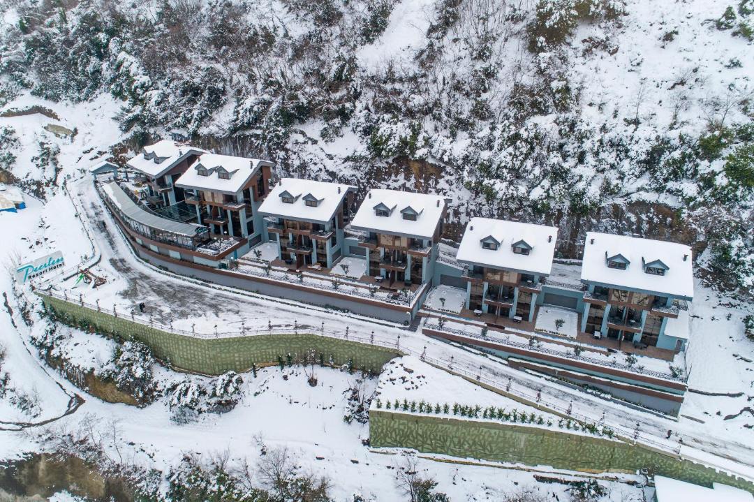 Photo of Others in Trabzon