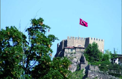 Photo of Others in Ulus