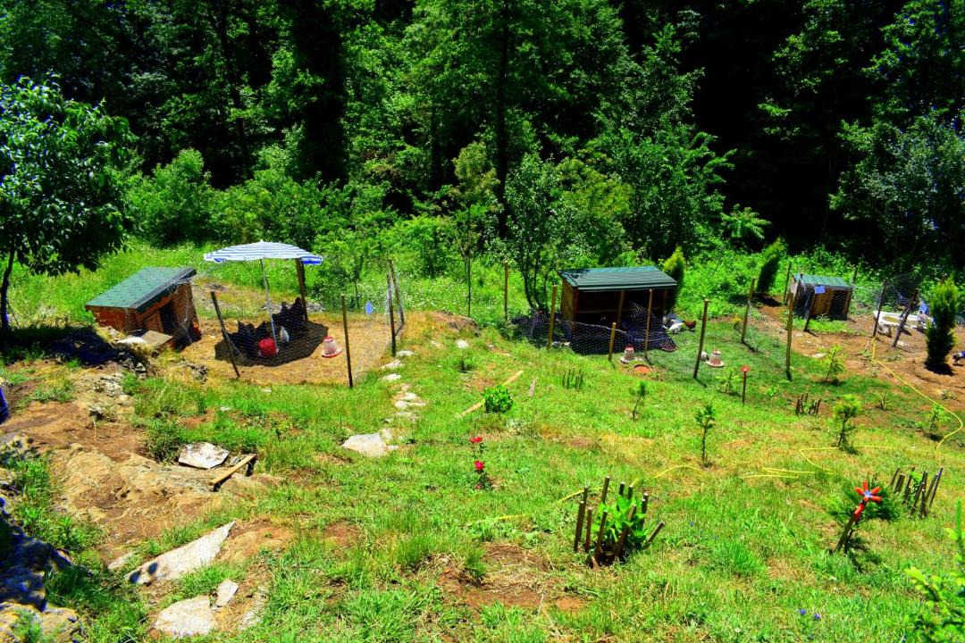 Photo of Others in Trabzon