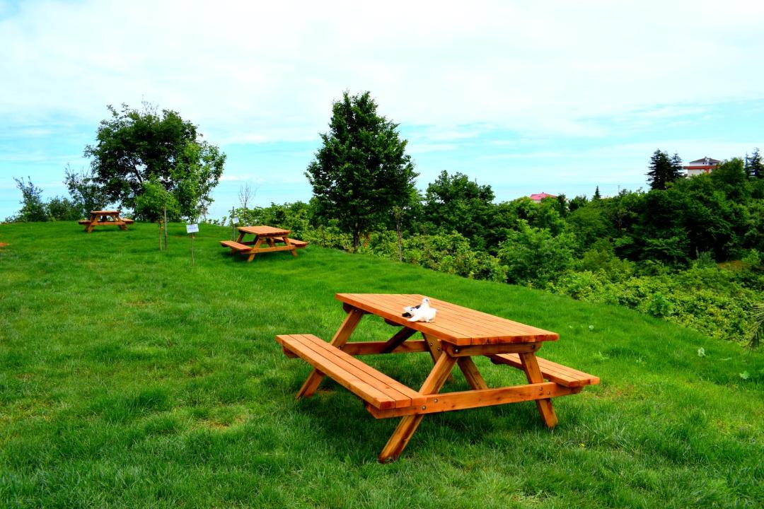 Photo of Others in Trabzon