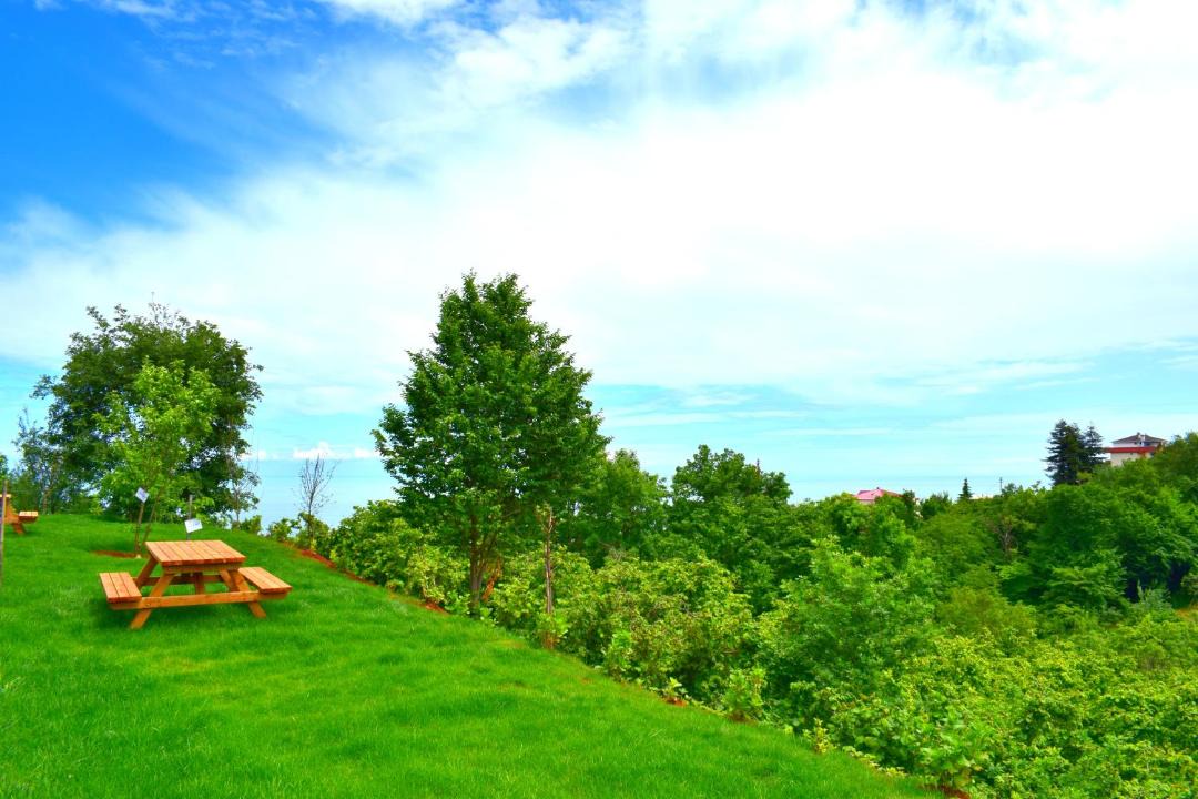 Photo of Outdoor in Trabzon
