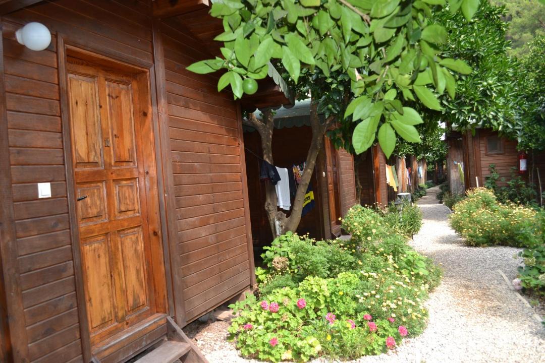 Photo of Others in Olympos