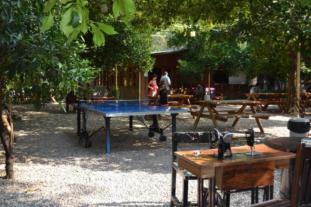 Photo of Others in Olympos