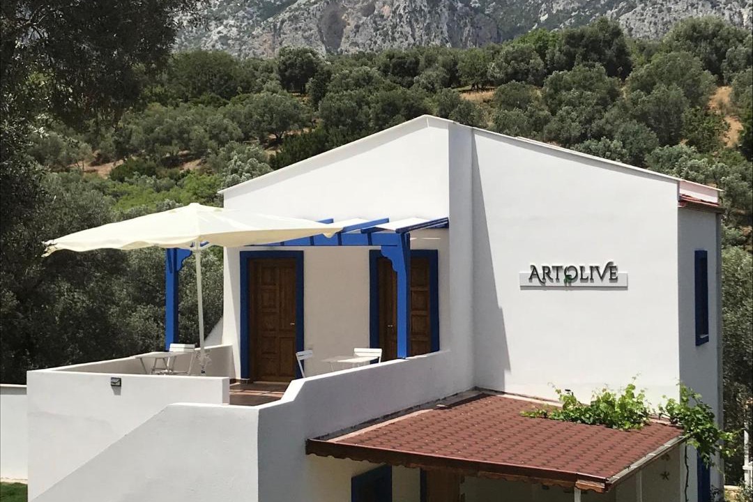 Photo of Others in Datca