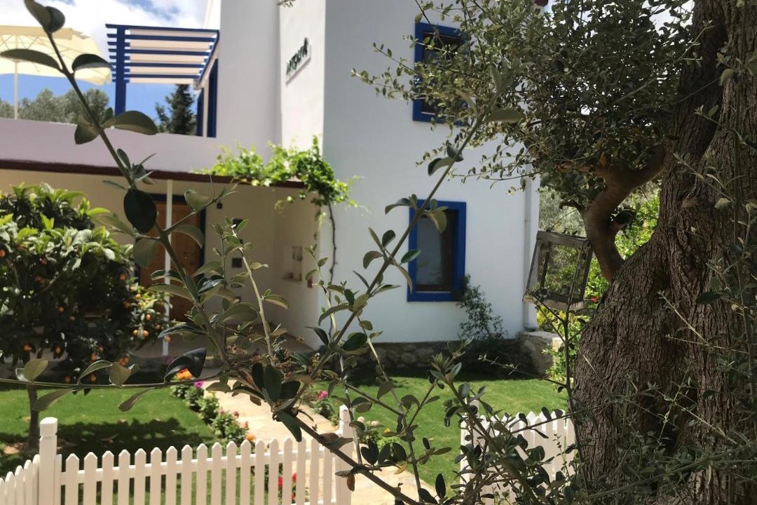 Photo of Others in Datca