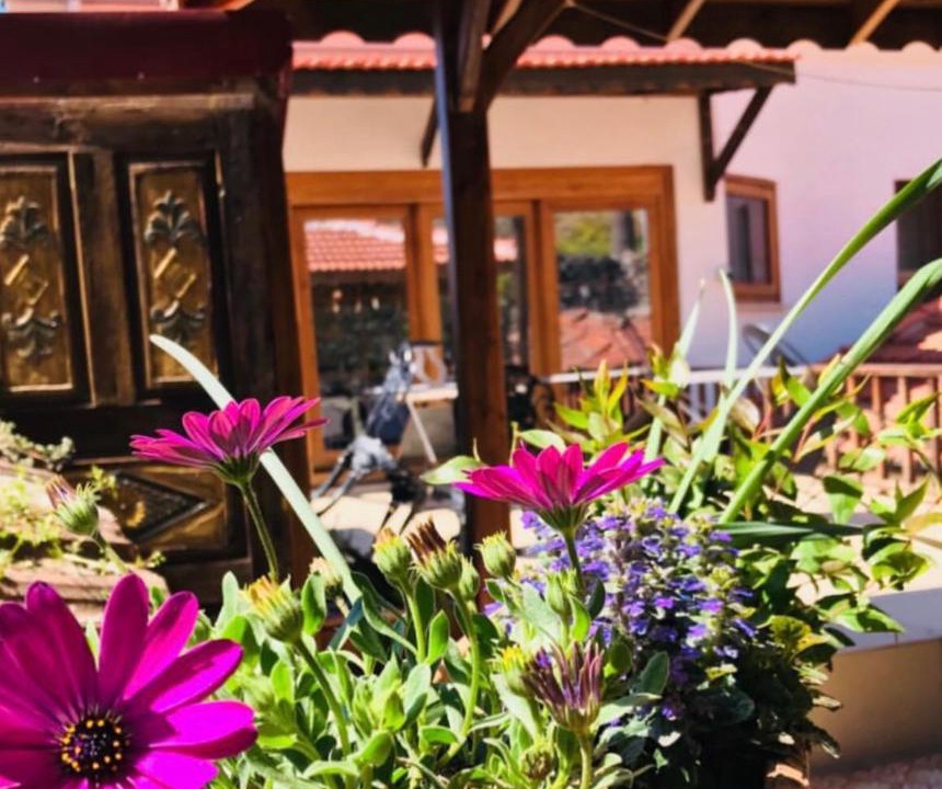 Photo of Others in Selcuk