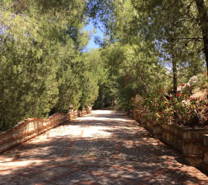 Photo of Others in Oludeniz