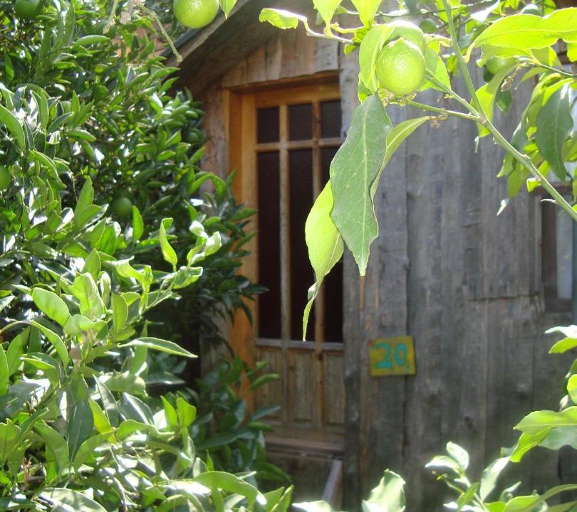 Photo of Others in Olympos