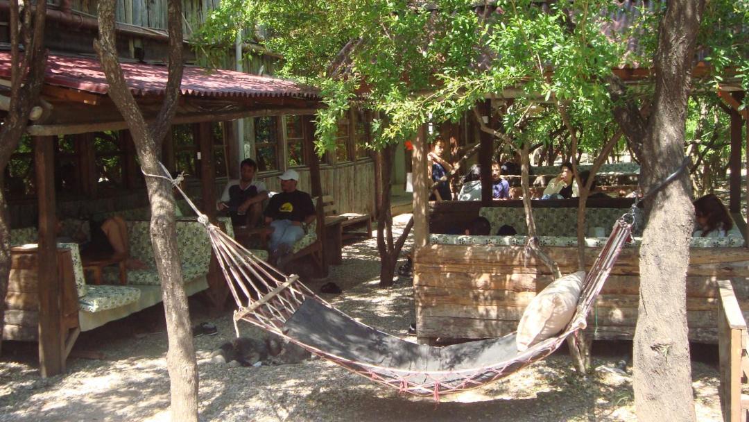 Photo of Others in Olympos