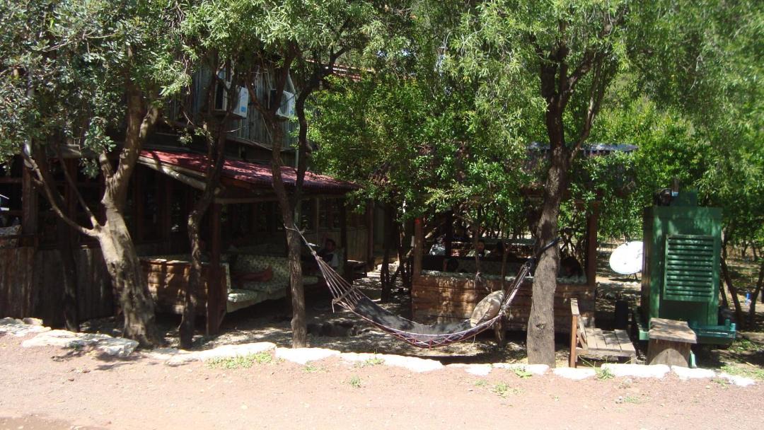 Photo of Others in Olympos