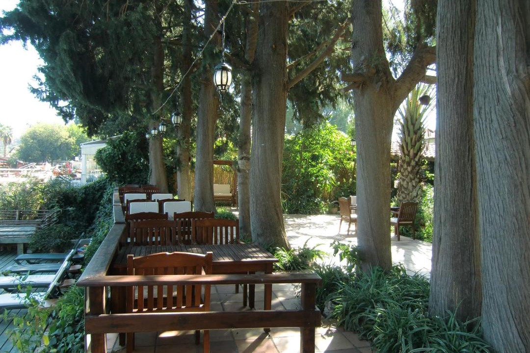 Photo of Others in Dalyan City Center