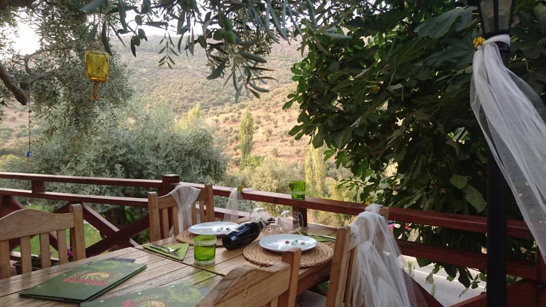 Photo of Others in Selcuk