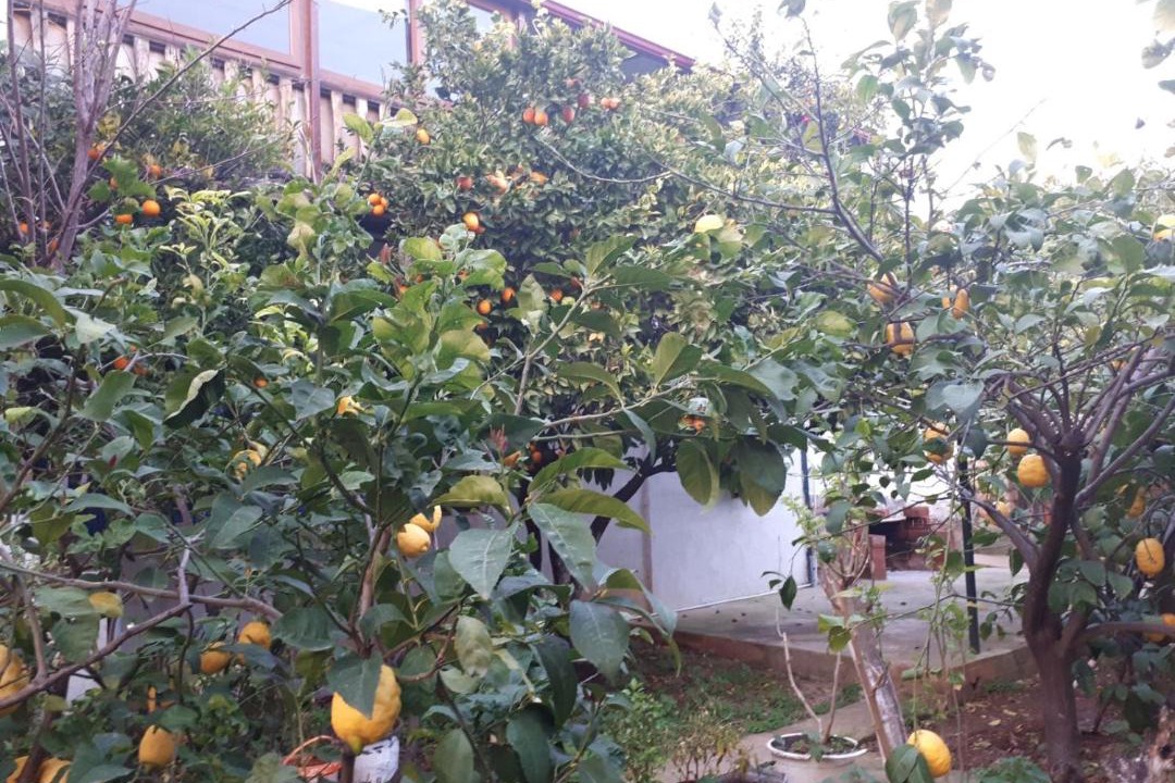 Photo of Others in Kaleucagiz