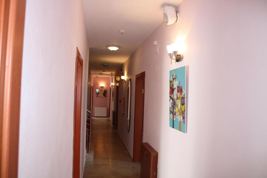 Photo of Others in Agva