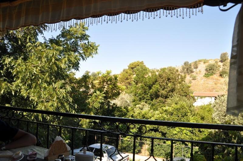 Photo of Others in Patara