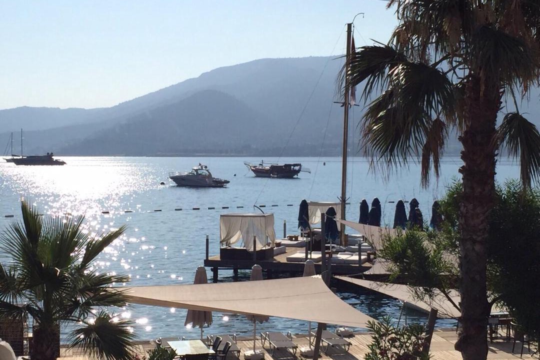 Photo of Others in Torba