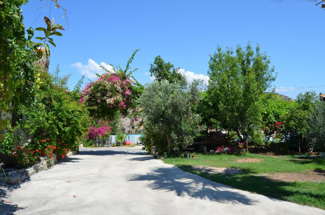 Photo of Others in Patara