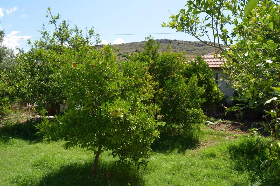 Photo of Others in Patara