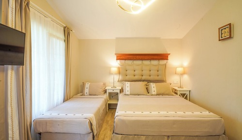 Basic Triple Room