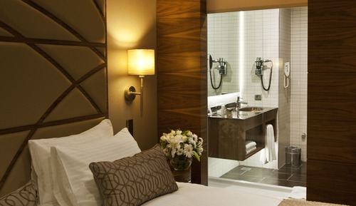 Superior Room, 1 Double Bed, City View